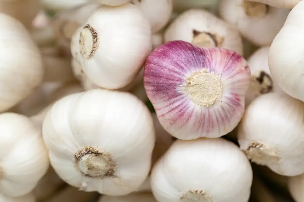 How To Peel Garlic